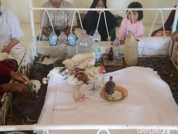 Misteri Kain Kafan di Makam Pallipa Pute yang Dipercaya Membawa Berkah