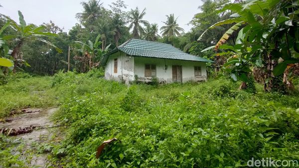 Sarat Kisah Mistis, Ini Potret Rumah Terakhir di Gang Gendruwo Kulon Progo