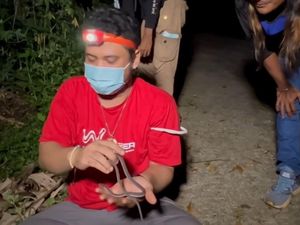Kata Dokter soal Gigitan Ular Perparah Kondisi Diabetes Panji Petualang Kata Dokter soal Gigitan Ular Perparah Kondisi Diabetes Panji Petualang