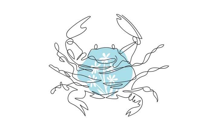 Zodiak Cancer Cancer cocok dengan zodiak apa