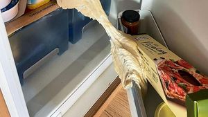 Zonk! Ini 10 Momen Kocak Netizen yang Gagal Saat Masak