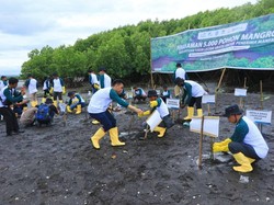 5 Ribu Pohon Mangrove Ditanam di Pesisir Teluk Pangpang Banyuwangi