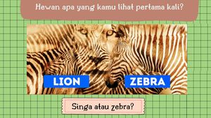 Tebak-tebakan Gambar Ini Bisa Baca Kepribadianmu, Yuk Cobain!