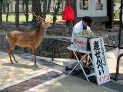 Bukan Biskuit Manusia, Vending Machine Ini Jualan Biskuit untuk Rusa