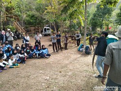 Jangan Takut Ular Lagi Bersama Bangke Laut Sumedang