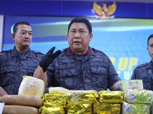 Kepala BNN: Saya Tak Akan Pernah Menyetujui Ganja untuk Medis!