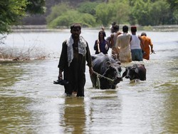 Laporan PBB Ungkap Kronik Kekacauan Iklim