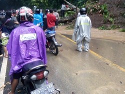 Pohon Tumbang di Gumitir Kembali Ganggu Arus Lalin Jember-Banyuwangi