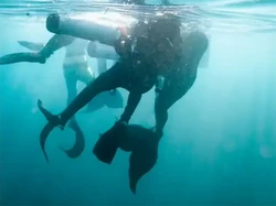 Penyelam Ini Mengaku Diselamatkan Sekelompok Putri Duyung, Ini Faktanya