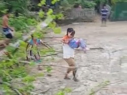 3 Warga Sinjai Dilarikan ke RS Akibat Tertimpa Pohon, 2 Korban Anak-anak