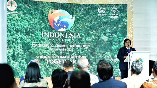 RI Sampaikan Berbagai Langkah Atasi Permasalahan Iklim di COP27 Mesir