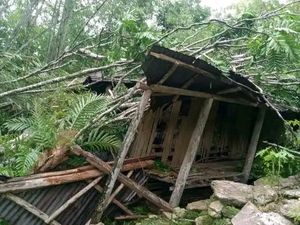 Kisah Pilu Pasutri 5 Anak yang Rumahnya Hancur Tertimpa Pohon Kisah Pilu Pasutri 5 Anak yang Rumahnya Hancur Tertimpa Pohon