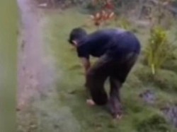 Heboh Hujan Es di Pinrang Turun Selama 20 Detik Disertai Guntur