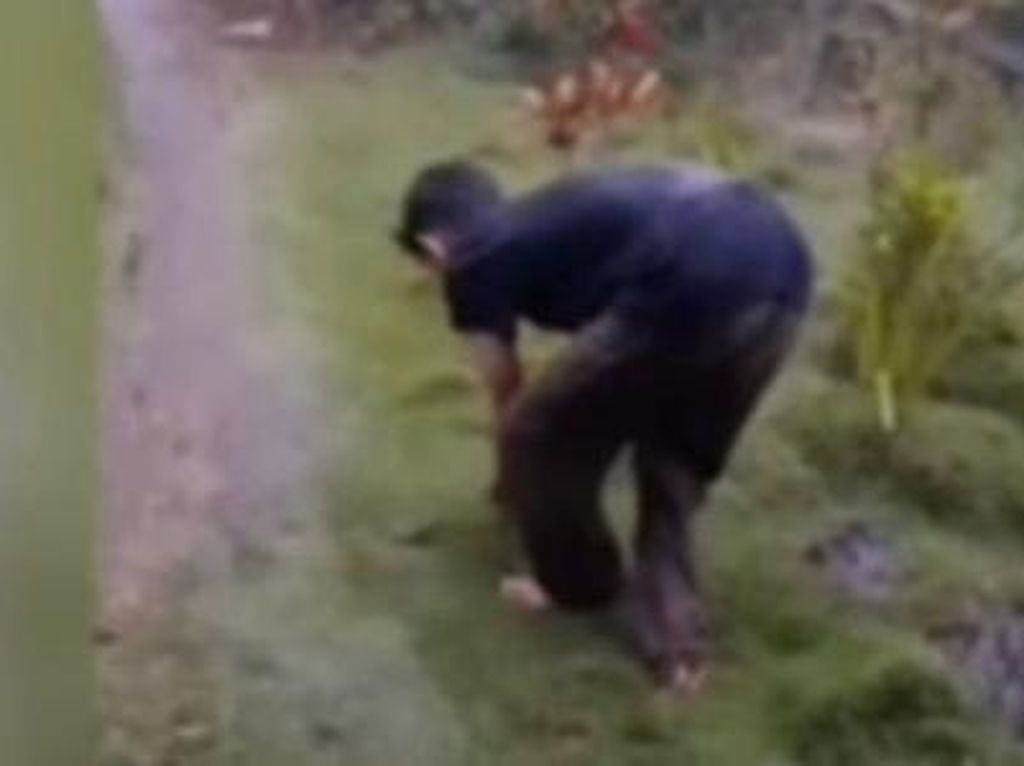 Heboh Hujan Es di Pinrang Turun Selama 20 Detik Disertai Guntur Heboh Hujan Es di Pinrang Turun Selama 20 Detik Disertai Guntur