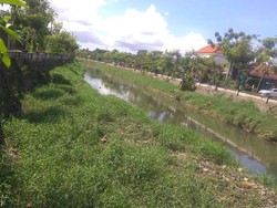 PUPR Badung Kena Tegur, BWS Bali; Normalisasi Tukad Mati Terburu-buru