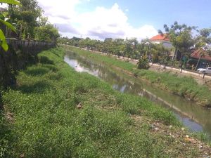 PUPR Badung Kena Tegur, BWS Bali; Normalisasi Tukad Mati Terburu-buru PUPR Badung Kena Tegur, BWS Bali; Normalisasi Tukad Mati Terburu-buru
