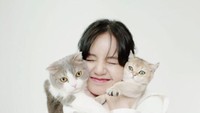 6 Kepribadian Wanita yang Suka Kucing, Mandiri hingga Penuh Empati