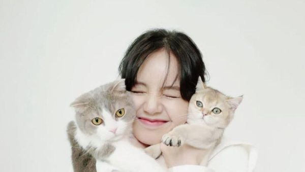Gemes Banget! 7 Pose Artis Bareng Kucing Kesayangannya