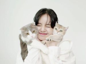 Gemes Banget! 7 Pose Artis Bareng Kucing Kesayangannya Gemes Banget! 7 Pose Artis Bareng Kucing Kesayangannya