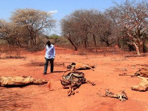 COP27: Kerugian-Kerusakan Akibat Perubahan Iklim, Tanggung Jawab Siapa?