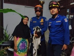 Damkar Evakuasi Kucing yang Tercebur Sumur di Cilodong Depok