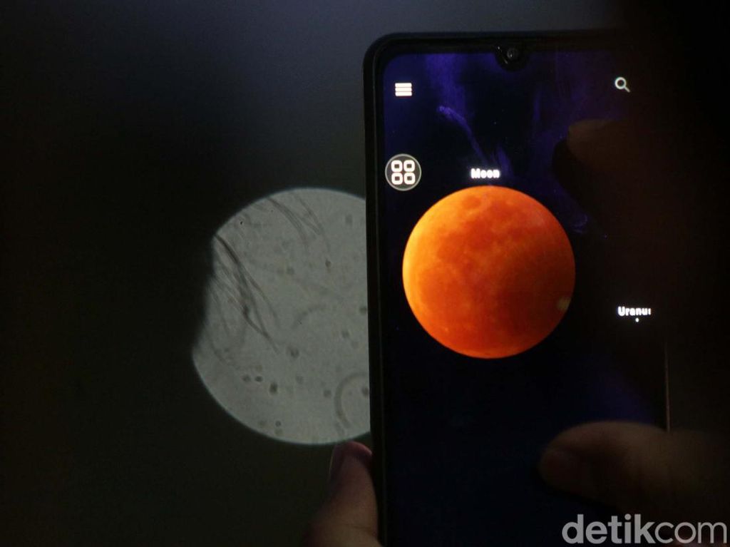 Hujan Deras, Warga Saksikan Gerhana Bulan Lewat Aplikasi Hujan Deras, Warga Saksikan Gerhana Bulan Lewat Aplikasi