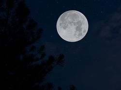 Ide Gila Peneliti Menambang Bulan Bisa Atasi Krisis Iklim di Bumi