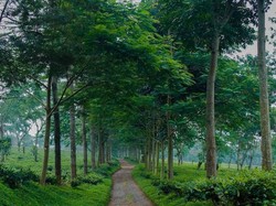 Liburan ke Malang? Yuk Mampir ke 7 Destinasi Wisata Populer Ini