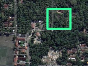 Melihat Lebih Dekat Gang Gendruwo di Kulon Progo yang Misterius Melihat Lebih Dekat Gang Gendruwo di Kulon Progo yang Misterius
