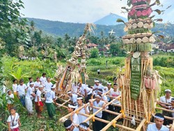 Usaba Dangsil di Banjar Adat Kebon, Ungkapan Syukur Hasil Panen Petani