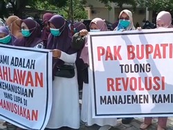 Ratusan Nakes Enrekang Mogok Kerja Gegara Tak Masuk Seleksi PPPK