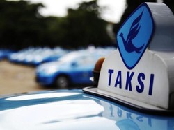 Driver Diduga Lecehkan Bule Rusia Viral, Blue Bird Minta Maaf