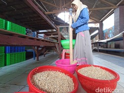 Harga Kedelai Makin Mencekik, Perajin Tahu Tempe Kota Blitar Menjerit