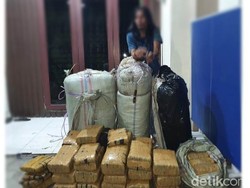 Pria Aceh Ditangkap saat Bawa 200 Kg Ganja ke Medan dan Pekanbaru