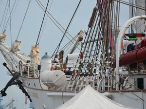 Setahun Berlayar, Kapal Statsraad Lehmkuhl dari Norwegia Sandar di Priok Setahun Berlayar, Kapal Statsraad Lehmkuhl dari Norwegia Sandar di Priok