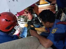 Heboh Ular Kobra Masuk Rumah, Warga Bogor Panggil Damkar