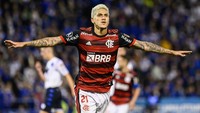 Penyerang tengah murni di Timnas Brasil hanya Pedro Guilherme. Caps-nya baru dua kali, jauh lebih banyak Firmino dengan 55 kali membela negaranya (Getty Images)