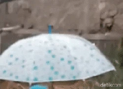 Viral Jerit Warga Saat TPT di Cisolok Sukabumi Ambrol