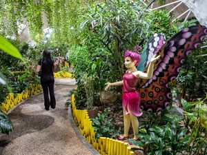 Wow, Dubai Punya Taman Kupu-kupu Terbesar di Dunia Wow, Dubai Punya Taman Kupu-kupu Terbesar di Dunia