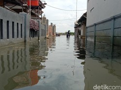 Nestapa Saat Banjir Rob Menerjang Pesisir Indramayu