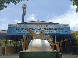 Delegasi KTT G20 Bakal Lihat Penyu Usia 50 Tahun di TCEC Serangan