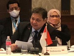 Perubahan Iklim Bisa Bikin PDB Turun, Airlangga Usulkan Ini ke ASEAN