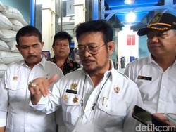 Mentan Ajak Petani Menanam Jagung daripada Kedelai, Kenapa?