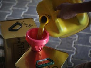 Minyak Zaitun Gaza Mengalir ke Negara-negara Arab