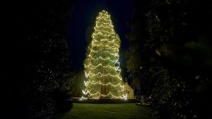 Lihat Nih Pohon Natal Hidup Tertinggi di Inggris