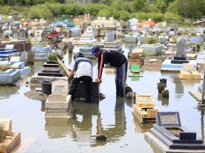 Pantai Terancam Hilang: Ilmuwan Peringatkan Krisis Ekosistem Pesisir