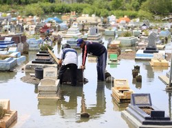 Pantai Terancam Hilang: Ilmuwan Peringatkan Krisis Ekosistem Pesisir