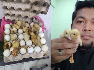 Kamar Homestay Bau Bangkai, Saat Dibuka Pemiliknya Malah Gembira, Ternyata...