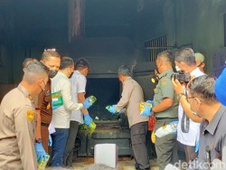 Polda Lampung Bakar Narkoba Senilai Rp 227 M, Hasil Tangkapan 3 Bulan