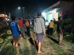 Trembesi Tumbang Tutup Jalan, Jalur Denpasar-Singaraja Lumpuh 2 Jam Trembesi Tumbang Tutup Jalan, Jalur Denpasar-Singaraja Lumpuh 2 Jam